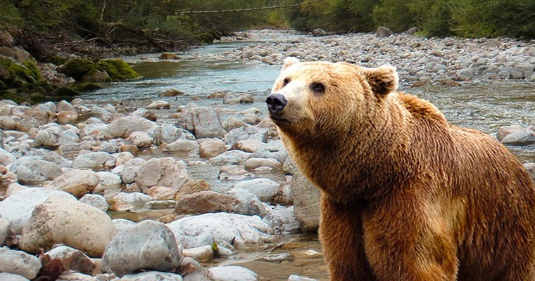 Активные туры на Камчатку