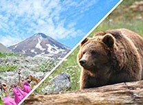 К хозяевам Камчатки